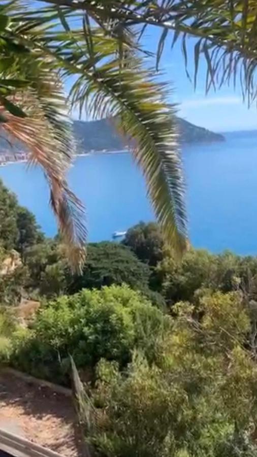 Bellissima Cervo Διαμέρισμα Εξωτερικό φωτογραφία